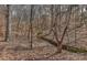 A natural landscape of a wooded area with a small stream flowing through the property at 1412 Great Rd, Waxhaw, NC 28174