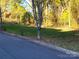 Residential lot with grassy area, mature trees, and a paved road at 14955 Alexander Place Dr, Huntersville, NC 28078