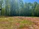 Large backyard with potential for various outdoor activities and gardening at 108 Vance Allen Ave, Rockwell, NC 28138