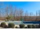 View of the community pool, surrounded by landscaping and trees at 4194 La Crema Dr, Charlotte, NC 28214