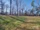 Grassy backyard area with trees and sunlight at 502 Geneva Cir, Gastonia, NC 28056