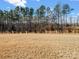 A spacious backyard with a natural treeline, offering privacy and a connection to nature at 6351 Trinity Crossing Cir, Kannapolis, NC 28081