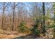 Driveway winds through a wooded landscape at 906 Harmony Dr, Statesville, NC 28677