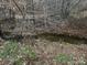 Small creek running through wooded area at 833 E Chestnut St, Stanley, NC 28164