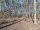 Leaf-strewn wooded path through the property at 2050 Tite Rd, Stanfield, NC 28163