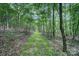 Picturesque grassy path leading through a dense forest with tall trees at 2988 Great Falls Hwy, Lancaster, SC 29720