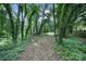 Landscaped entrance to wooded property with lush greenery and natural beauty at 2988 Great Falls Hwy, Lancaster, SC 29720