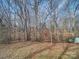 Wooded backyard view with shed and trees at 1075 Fye Dr, Newton, NC 28658