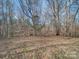 View of the wooded area behind the home at 1075 Fye Dr, Newton, NC 28658