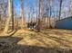 Private backyard with shed and wooded area at 11430 Gelding Dr, Charlotte, NC 28215