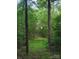 Scenic view of property's wooded area and grassy path at 1745 Badin Lake Rd, New London, NC 28127