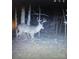 Deer in the woods at night at 47997 Wagoner Rd, Richfield, NC 28137