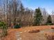 Picturesque backyard with mature trees, natural landscaping, and stone pavers creating a serene outdoor space at 5723 Whitehawk Hill Rd, Mint Hill, NC 28227