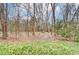 View of trees with a grass area in the backyard at 830 Wilcrest Ct, York, SC 29745