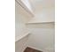 View of walk-in closet featuring metal closet rods and carpet flooring at 309 Settlers Ln, Charlotte, NC 28202
