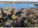 Aerial view of a lakefront home nestled among mature trees with lake access and nearby lake houses at 5580 Crepe Myrtle Rd, York, SC 29745