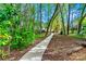 Picturesque walking path surrounded by mature trees, providing a peaceful and inviting outdoor experience at 8384 Blades Trl, Denver, NC 28037