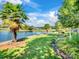 Scenic backyard view with mature palm trees, a hammock by the lake, and a well-maintained lawn at 6823 Manatee Dr, Concord, NC 28025