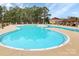 Large outdoor pool, perfect for recreation and relaxation on warm days surrounded by lush greenery at 17418 Hawks View Dr, Fort Mill, SC 29707