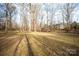 Expansive backyard features mature trees and a beautiful home in the distance at 7210 Timber Ridge Dr, Mint Hill, NC 28227