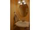 Bathroom featuring pedestal sink, oval mirror, and striped hand towel at 2043 Covered Bridge Ct, Rock Hill, SC 29732