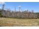 Backyard view showing grassy area and fence overlooking treeline in the distance at 108 Ellsworth Rd # 40, Mooresville, NC 28115