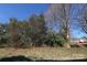 Photo of a treeline with a few houses barely visible beyond it under a blue sky at 14713 Lions Pride Ct, Charlotte, NC 28273