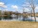 Scenic view of a pond with a fountain surrounded by trees, with residences in the background at 1238 Ladera Dr, Waxhaw, NC 28173