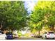 Street view framed by mature trees, showcasing parked cars and a glimpse of the city at 946 E 8Th St, Charlotte, NC 28204