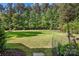 Expansive backyard with mature trees providing ample shade for outdoor activities at 16824 Ashton Oaks Dr, Charlotte, NC 28278