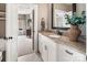 Bathroom featuring granite countertop, white cabinets, and a decorative plant, providing a clean and inviting space at 16824 Ashton Oaks Dr, Charlotte, NC 28278