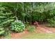 Lush garden with hydrangeas, mature trees, and a charming stone pathway amidst a peaceful wooded setting at 16824 Ashton Oaks Dr, Charlotte, NC 28278