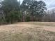 Tranquil view of a grassy field with scattered dry grass, surrounded by tall trees, showcasing the serene landscape at 32341 Speiss Rd, Albemarle, NC 28001