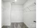 Walk-in closet featuring carpet, overhead lighting, and shelving at 330 Knotty Wood Dr # 67, Monroe, NC 28110