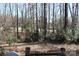 View overlooking the backyard, lined with trees and brush at 8133 Strawberry Ln, Charlotte, NC 28277