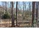 A serene backyard scene with tall trees and various shrubs visible throughout the wooded landscape at 8133 Strawberry Ln, Charlotte, NC 28277