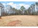 Expansive, level backyard space surrounded by trees, perfect for landscaping and recreation at 3646 46Th Ne Ave, Hickory, NC 28601