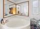 Spacious bathroom featuring large soaking tub, vanity and natural lighting at 1691 Hopewell Church Rd, Catawba, NC 28609