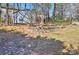 Manicured backyard features a retaining wall and storage shed at 3620 Cole Mill Rd, Charlotte, NC 28270