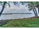 Scenic lake view framed by trees, with tranquil water and lush green shoreline at 405 Northwest Dr, Davidson, NC 28036