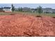 Wide backyard view shows level lot with newly planted trees and surrounding houses at 13248 Chopin Ridge Rd, Huntersville, NC 28078