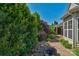 Lush side yard with decorative rocks and colorful landscaping adjacent to stone paver sidewalk at 3009 Scottcrest Way, Waxhaw, NC 28173