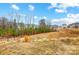 Expansive backyard with lush greenery and neighborhood view on a partly cloudy day at 6858 Hunts Mesa Dr, Fort Mill, SC 29707