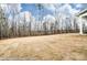 Expansive backyard with serene setting, offering ample space for gardening, play, and outdoor enjoyment at 8716 Acadia Pkwy # 596, Sherrills Ford, NC 28673
