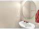 Small bathroom featuring a white sink with modern fixtures and a large, round mirror at 446 Clouds Way Way, Rock Hill, SC 29732