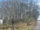 Scenic view of a wooded property at 282 Dixon Rd, Lancaster, SC 29720