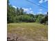 View of the spacious grassy front yard featuring mature trees and surrounding foliage at 4724 Pottery Rd, Catawba, SC 29704
