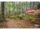 Backyard brick path surrounded by lush greenery and azaleas leading through a private, wooded setting at 140 Rustic Way Ln, Mooresville, NC 28117