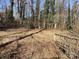 Picturesque backyard with a small wooden bridge surrounded by mature trees and natural vegetation at 314 Little St, Lincolnton, NC 28092