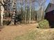 Spacious backyard featuring mature trees, a storage shed, and natural landscaping at 314 Little St, Lincolnton, NC 28092